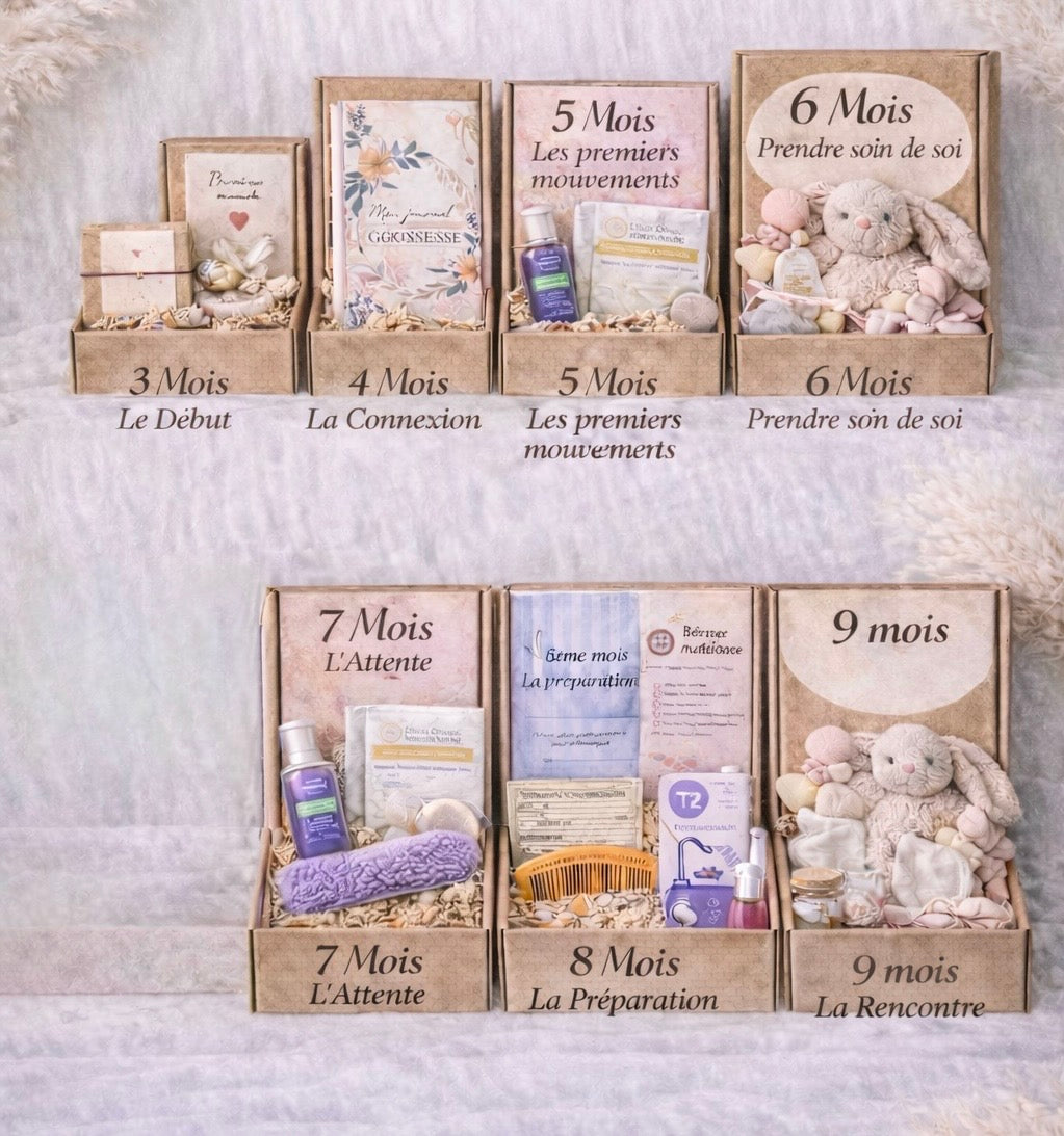 Calendrier grossesse